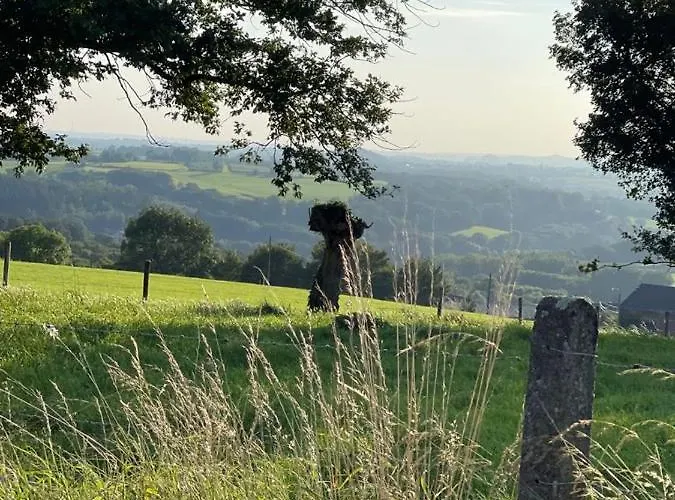 Bauwerd12 Lo-ghis Vakantiewoning Nyaraló
